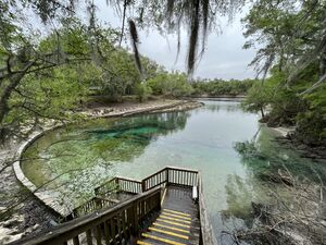 Photo of Little River Spring and the spring run, April 2023. View from the top of the steps leading down to the water. At center frame is a large turqoise spring basin with the banks surrounded by a concrete walkway. The view is from the top of a long flight of stairs perhaps 50ft above the water overlooking the run.